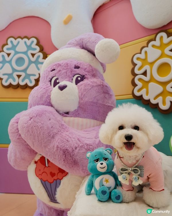 CARE BEARS 聖誕樂園