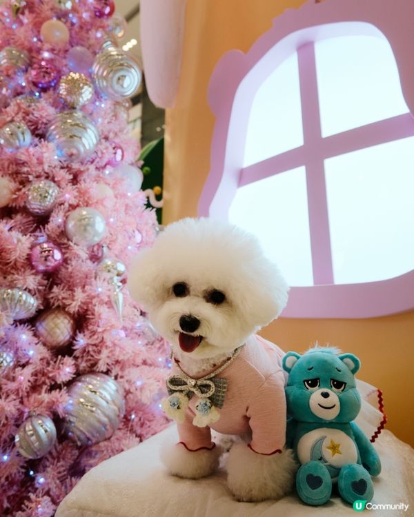 CARE BEARS 聖誕樂園