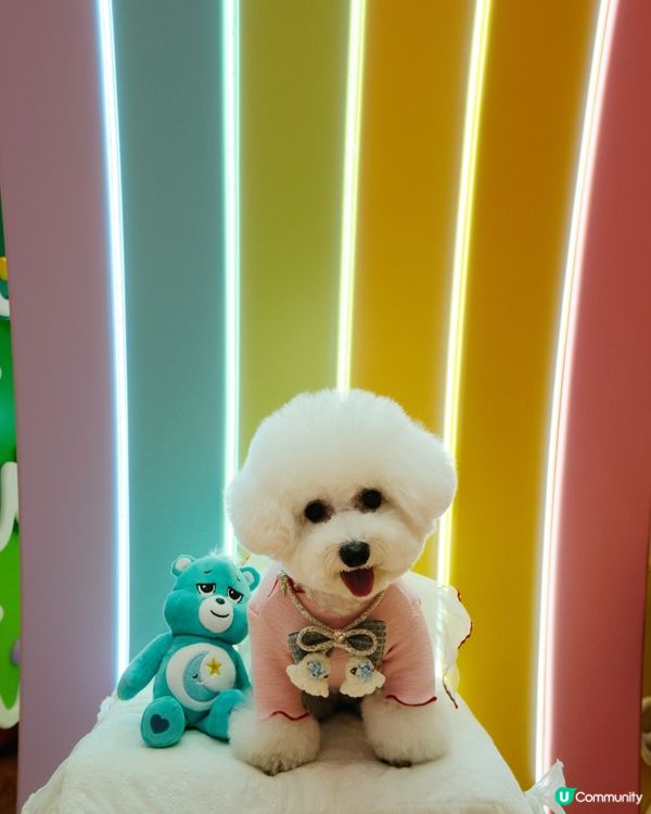 CARE BEARS 聖誕樂園