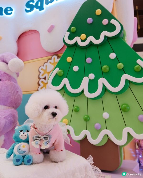 CARE BEARS 聖誕樂園