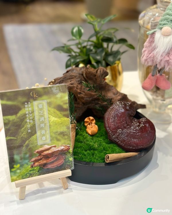 感受菇菌力量🍄-「RNC Beauty 靈芝調理養膚療程」