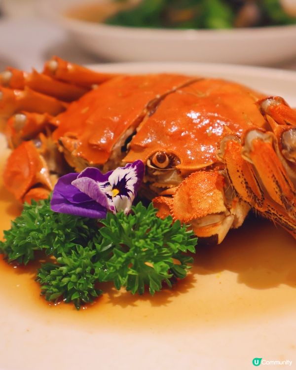 🦀 蟹季尾聲！熟醉蟹膏爆晒！🤤