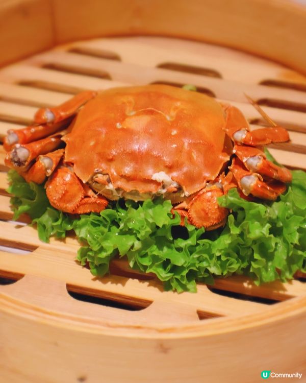 🦀 蟹季尾聲！熟醉蟹膏爆晒！🤤