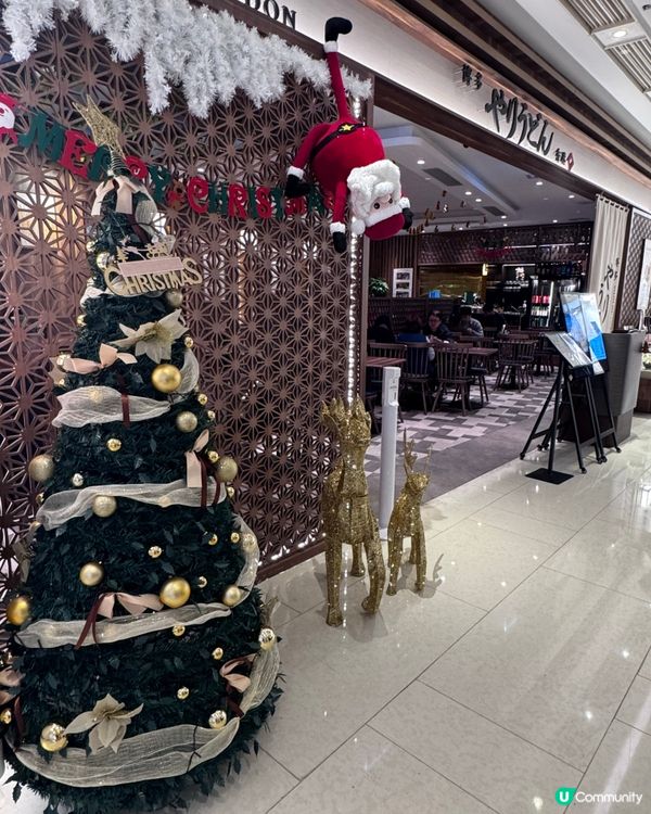 香港第一間分店❤️博多槍烏冬🤤正宗福岡味🤤！尖咀必食！