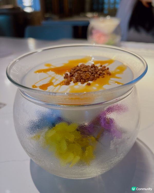 上環隱世「性價比極高」Fine-Dining 🍷