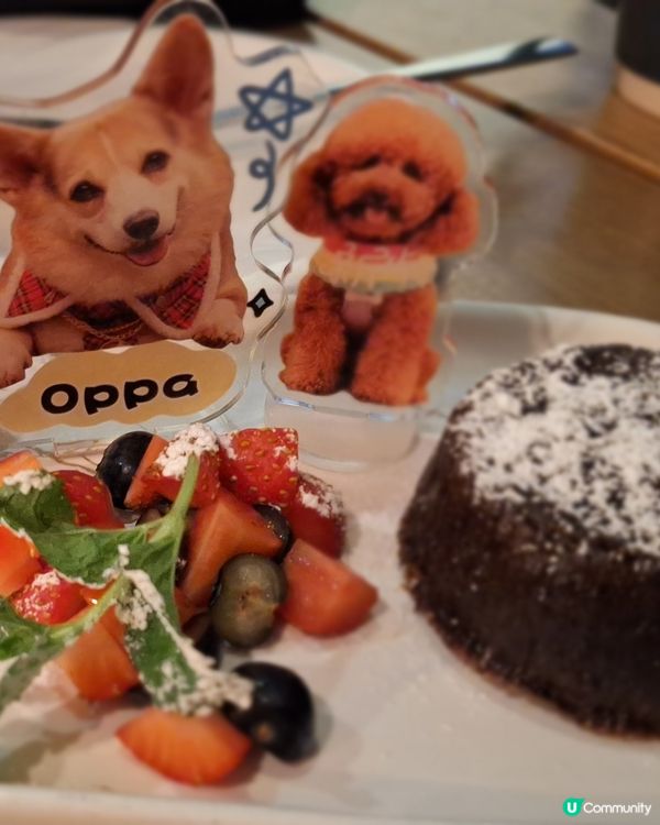 【8西餐廳食評】荃灣高質西餐！😋 必試烤豬手！