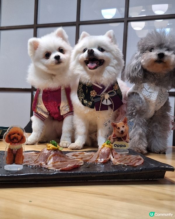 【元朗地庫尋寶！和牛海膽邪惡到爆🤤】