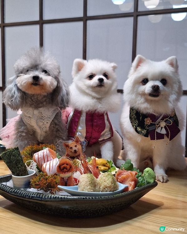 【元朗地庫尋寶！和牛海膽邪惡到爆🤤】