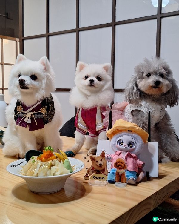 【元朗地庫尋寶！和牛海膽邪惡到爆🤤】