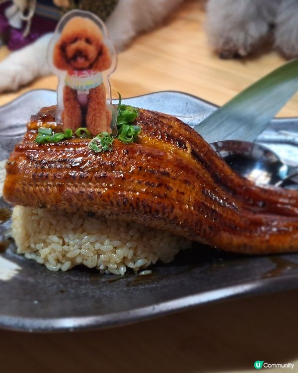 【元朗地庫尋寶！和牛海膽邪惡到爆🤤】