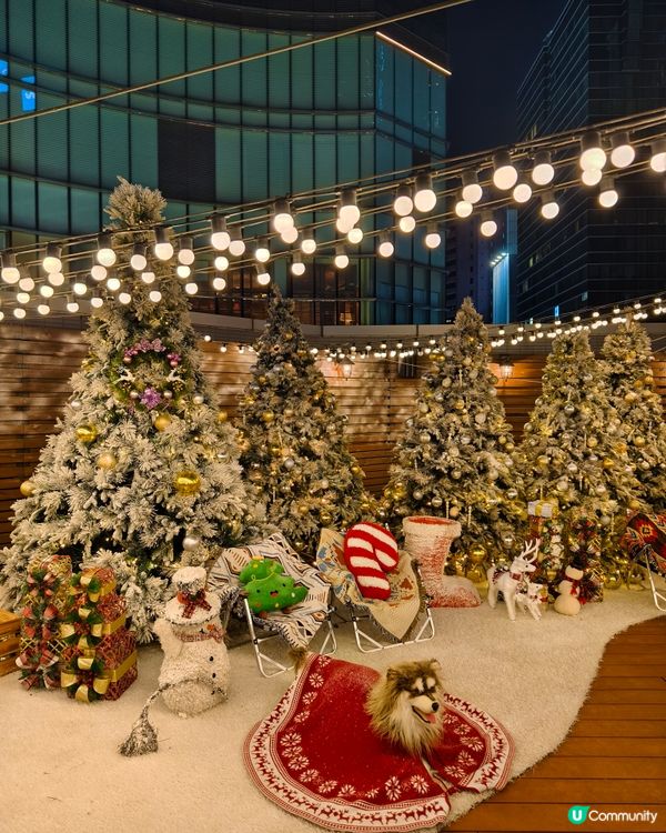 聖誕氣氛滿滿的日式燒肉店