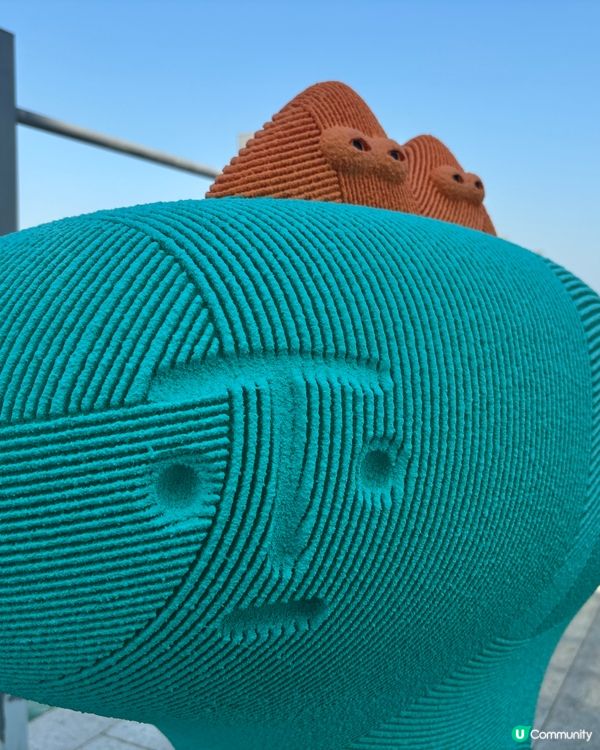 沙頭角碼頭：邊境の寧靜🌊 釣魚佬の日常🎣