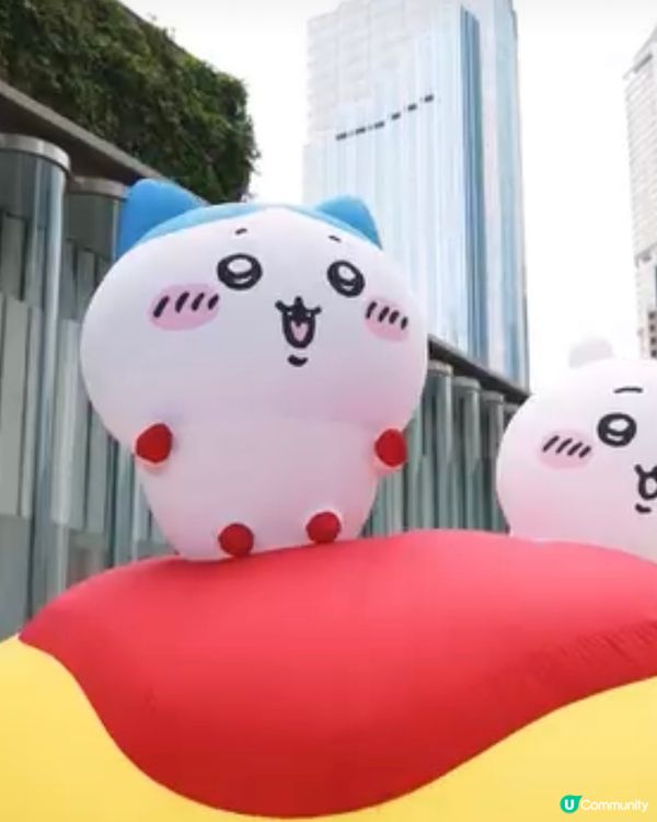 第一步: 🐰呆萌烏薩奇！心臟爆擊！💖 追動畫！🤣