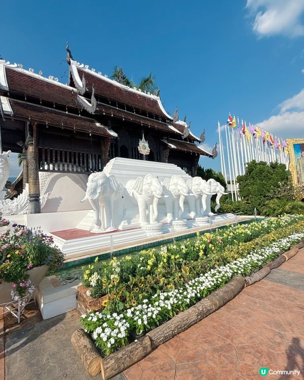 清邁拉查帕皇家花園之旅| 打卡靚相📸無得輸