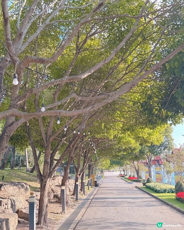 清邁拉查帕皇家花園之旅| 打卡靚相📸無得輸