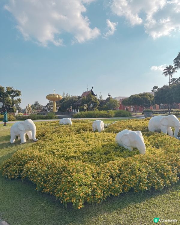 清邁拉查帕皇家花園之旅| 打卡靚相📸無得輸