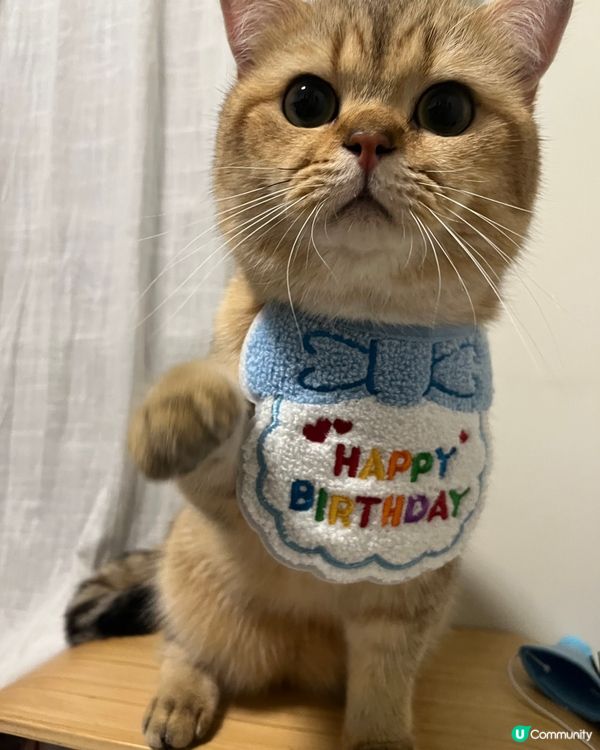 甜品忠實fans🤤❤️