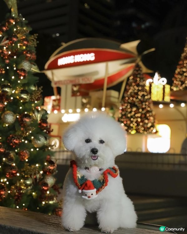 香港聖誕2025中環市集 🩷必去打卡