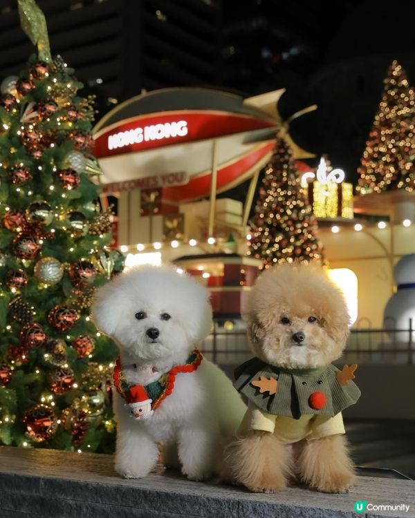 香港聖誕2025中環市集 🩷必去打卡