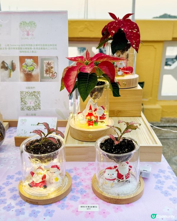 全港獨有的「黃金海岸粉紅聖誕市集」｜本週末限時登陸🎅🏻🎄