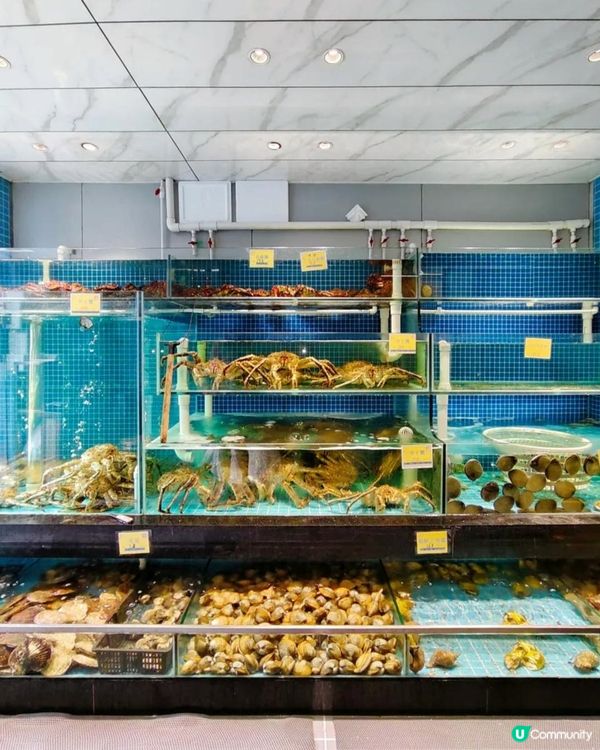 蓮塘口岸附近海鮮酒家！竟有手臂長de龍蝦🫶🏻