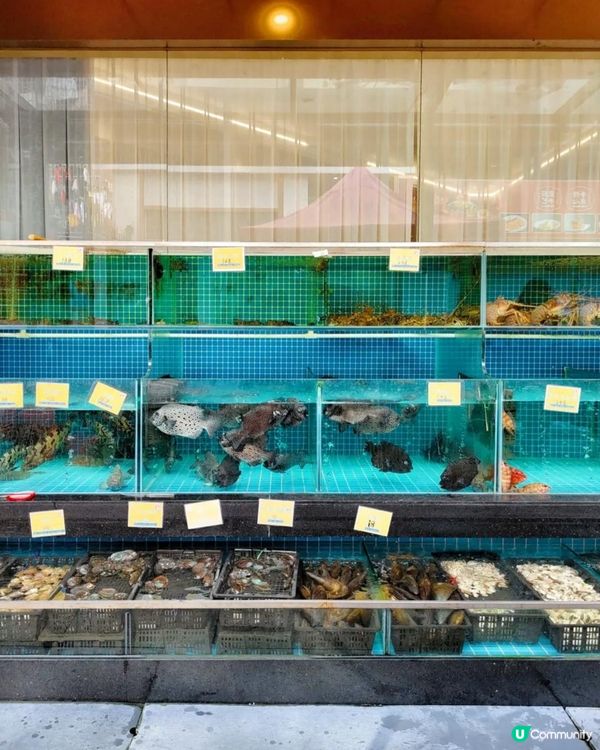 蓮塘口岸附近海鮮酒家！竟有手臂長de龍蝦🫶🏻