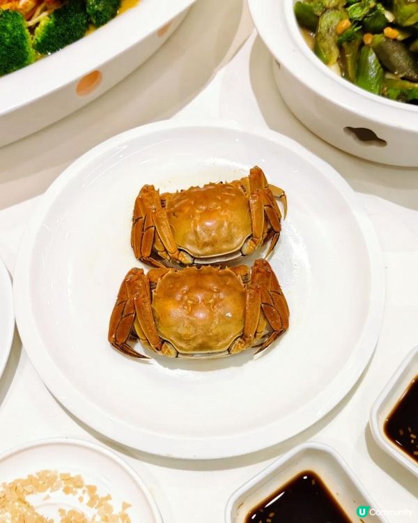 蓮塘口岸附近海鮮酒家！竟有手臂長de龍蝦🫶🏻