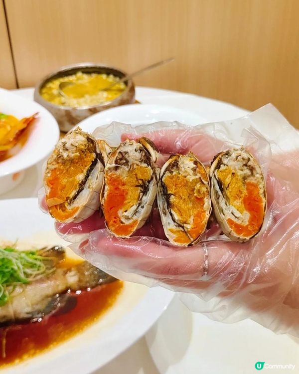 蓮塘口岸附近海鮮酒家！竟有手臂長de龍蝦🫶🏻