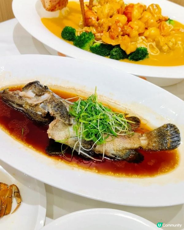 蓮塘口岸附近海鮮酒家！竟有手臂長de龍蝦🫶🏻