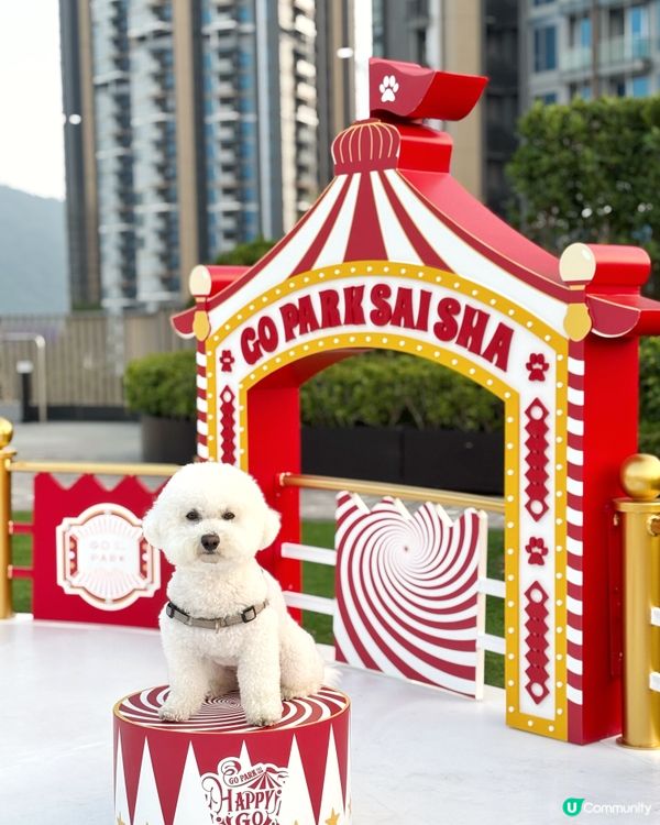 HAPPY GO ROUND冬日樂園 炫夢旋轉木馬🎠