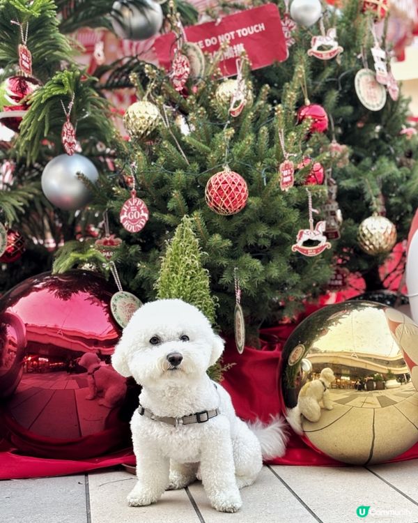 HAPPY GO ROUND冬日樂園 炫夢旋轉木馬🎠