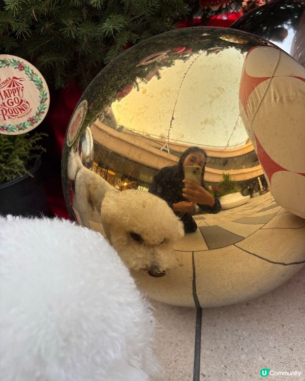 HAPPY GO ROUND冬日樂園 炫夢旋轉木馬🎠