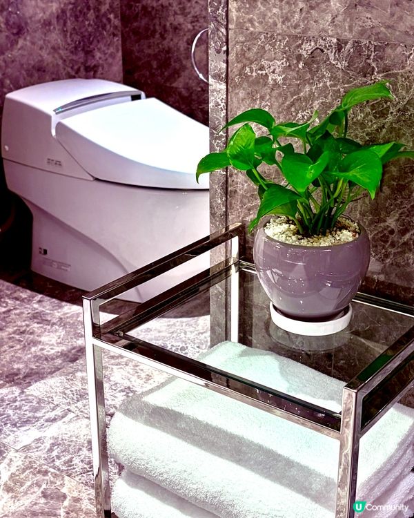 超有聖誕節日氣氛的酒店✨吉隆坡瑞吉酒店🎄St. Regis