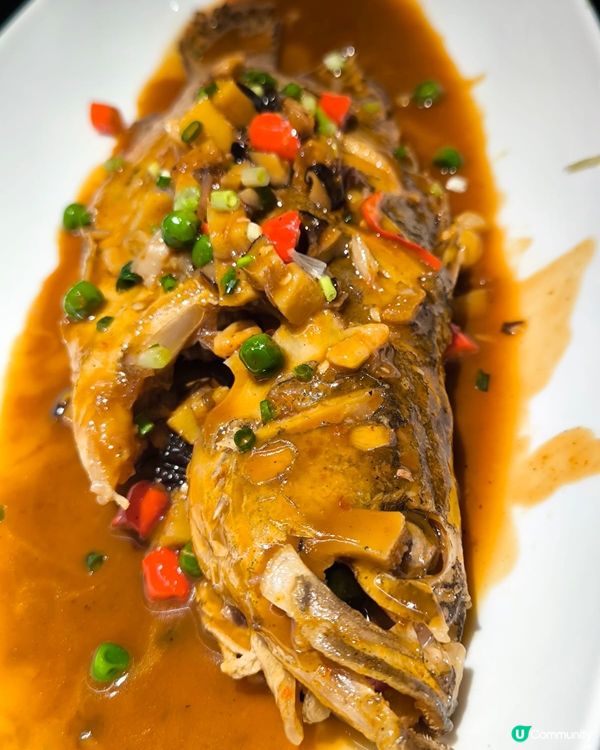 深圳啫啫煲🤤！香氣四溢！蠔餅必試！😋