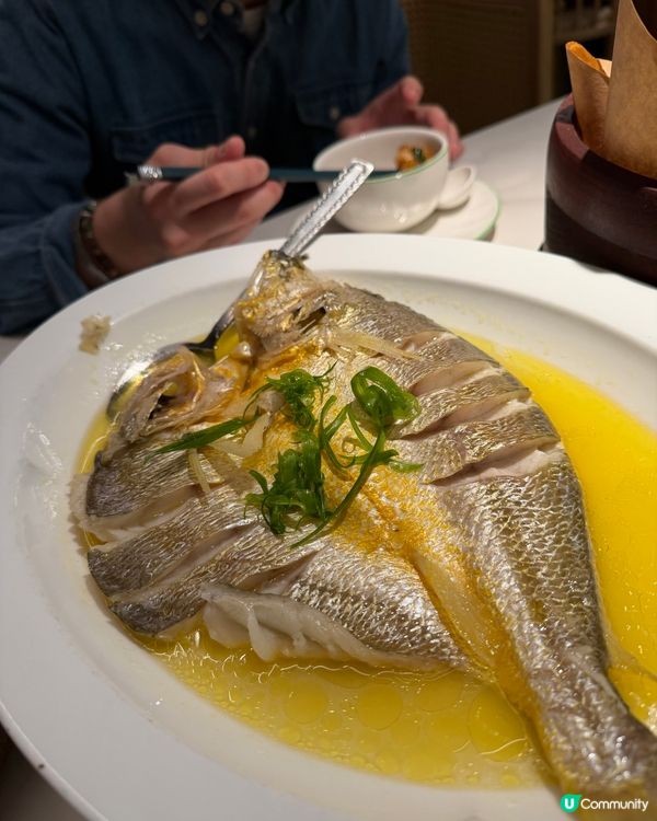 【#銅鑼灣美食】綠茶餐廳🍵！米芝蓮級江南味🤤！