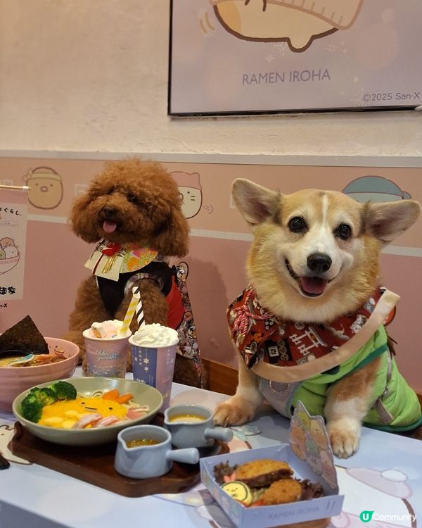 富山麵家角落生物主題！毛孩都Like🥳