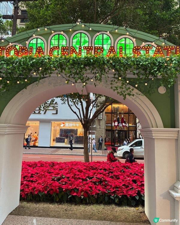 聖誕瘋狂動物城打卡📸！細節神還原！