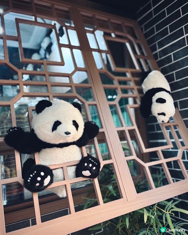 熊貓主題打卡cafe📸！健康低糖甜品茶飲😋！