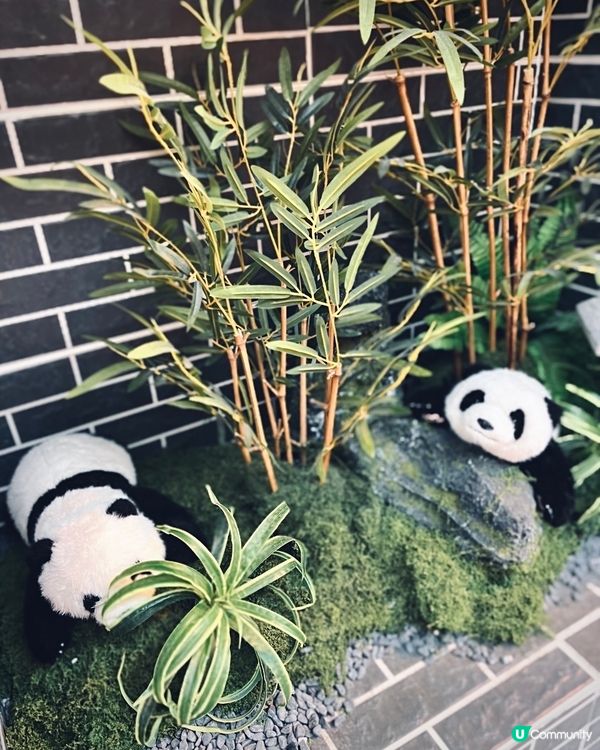 熊貓主題打卡cafe📸！健康低糖甜品茶飲😋！