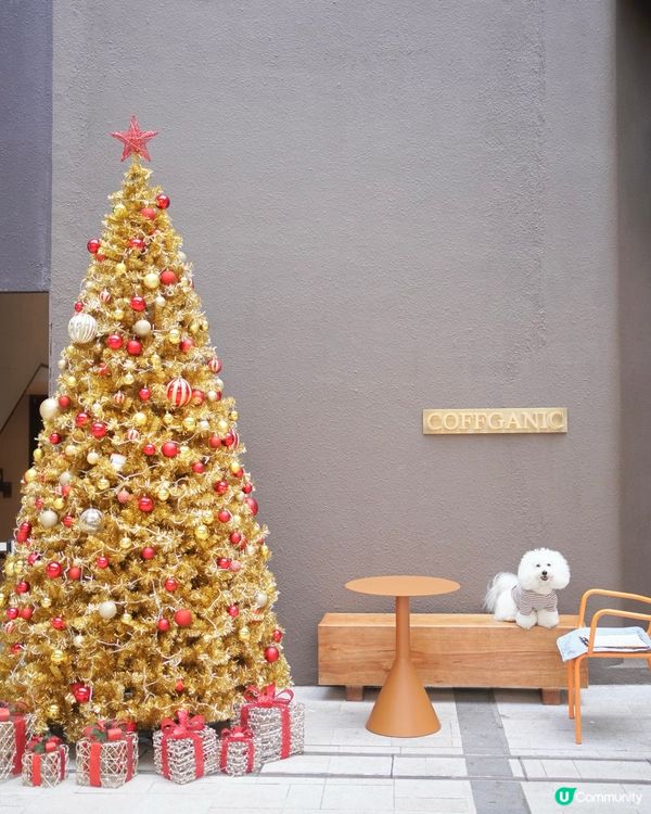 合和商場新店開張，環境狗狗友善又開揚