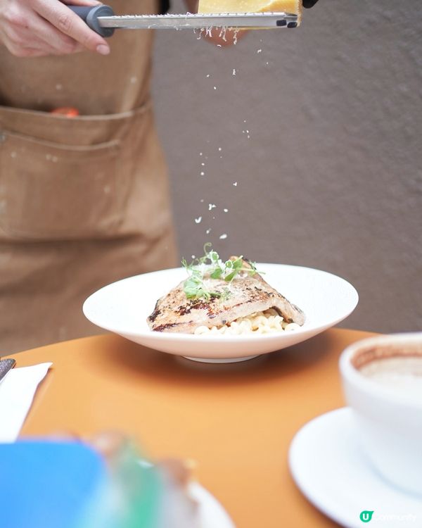 合和商場新店開張，環境狗狗友善又開揚