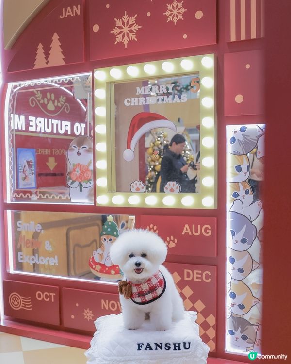 聖誕喵星人佔領！3米高抱抱等你😻