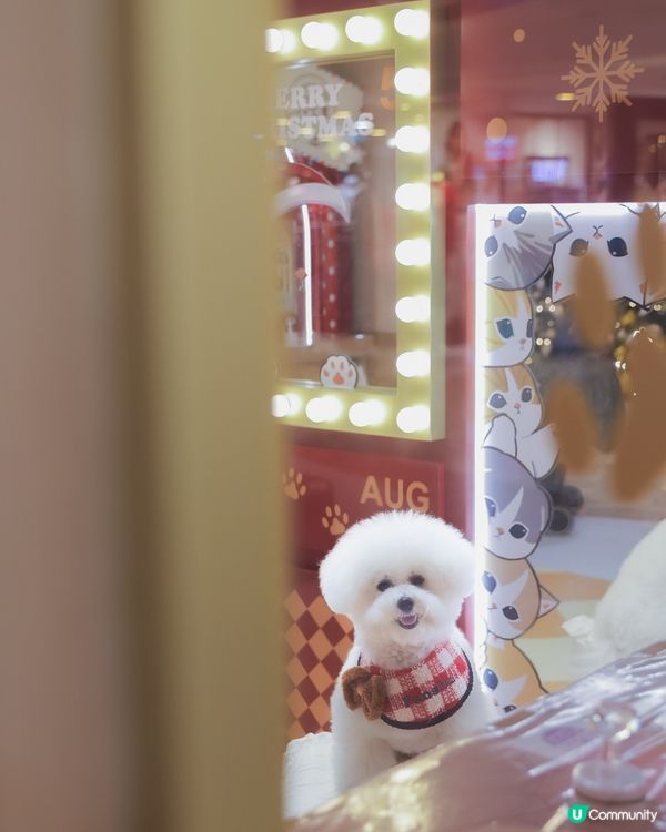 聖誕喵星人佔領！3米高抱抱等你😻