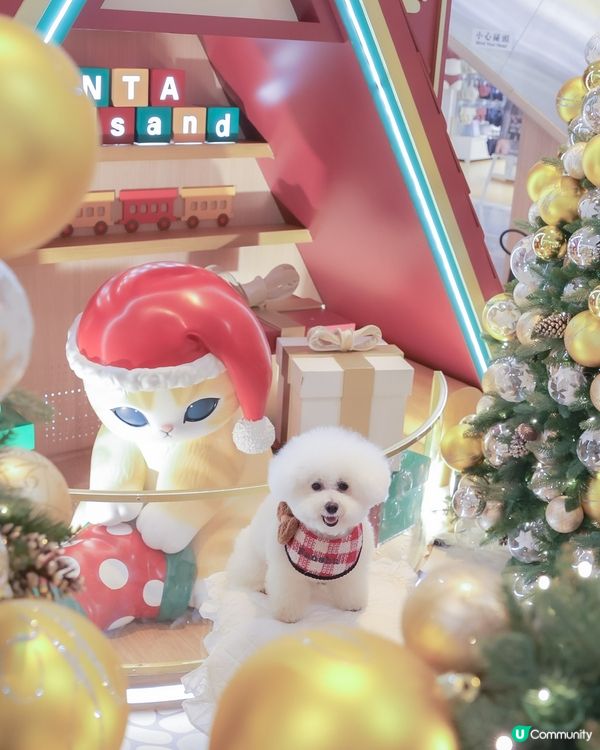 聖誕喵星人佔領！3米高抱抱等你😻