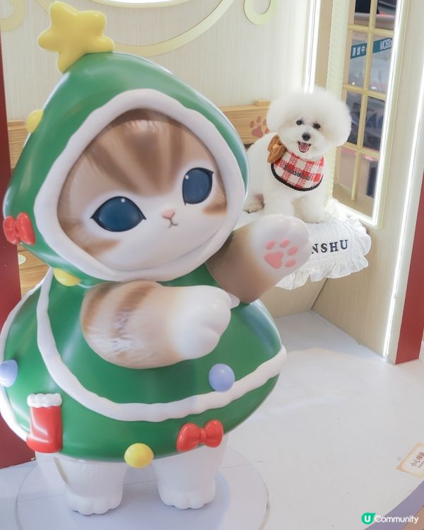 聖誕喵星人佔領！3米高抱抱等你😻