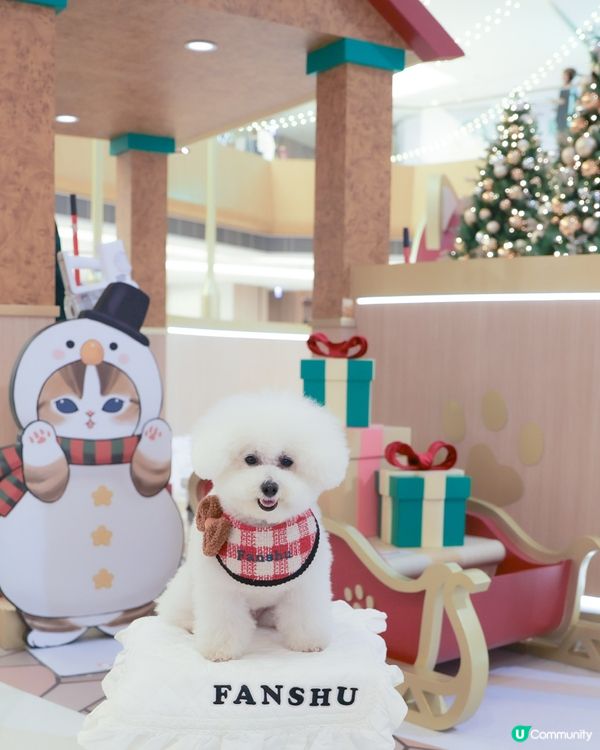 聖誕喵星人佔領！3米高抱抱等你😻