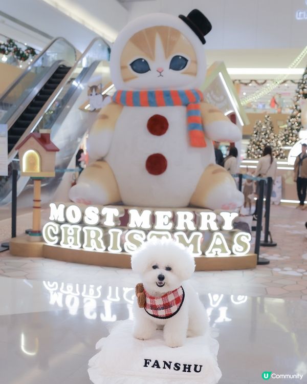 聖誕喵星人佔領！3米高抱抱等你😻