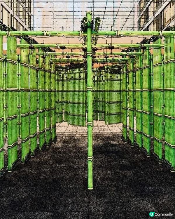 聖誕展覽「千紙鶴」送上祝福  以竹傳遞生生不息希望