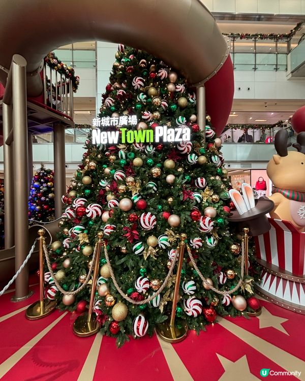 Xmas 2025 - 新城市廣場聖誕奇幻馬戲團嘉年華