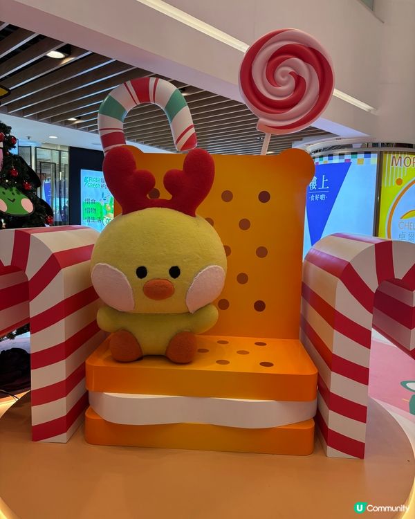 Xmas 2025 - 卓爾廣場《熊抱青春記》